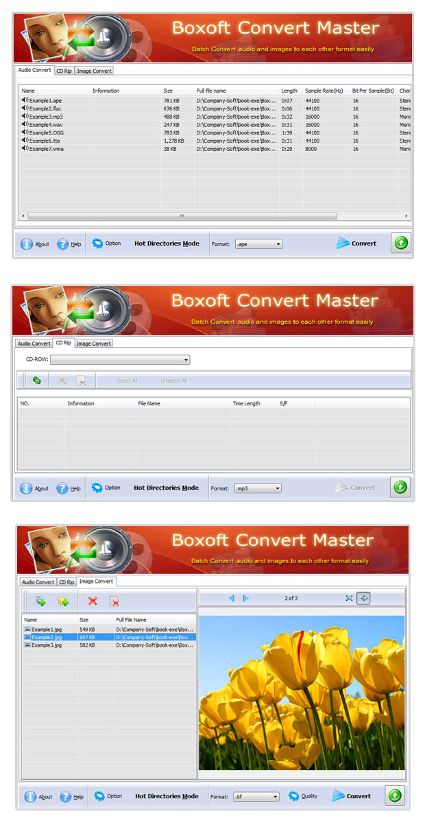 Boxoft convert master Screenshots