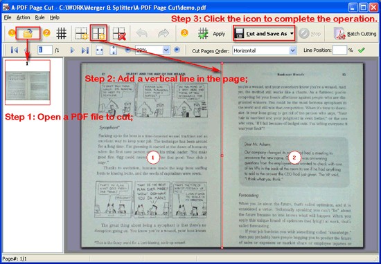 PDF Page Split 2.9.2 full