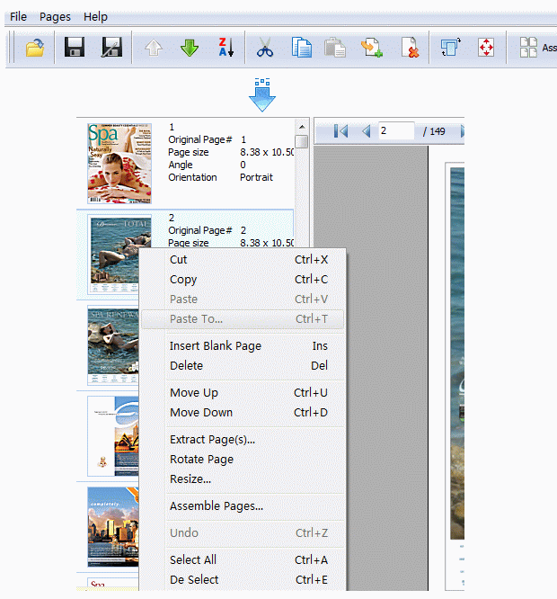  Step of Boxoft PDF Page Editor